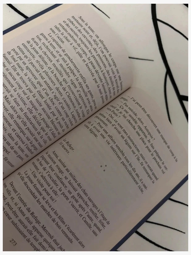 Pocket Olivier Norek Livre Dans les brumes de Capelans – photo 6